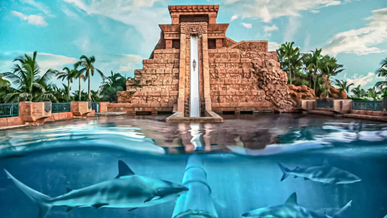 Aquaventure World Waterpark - Photo 18