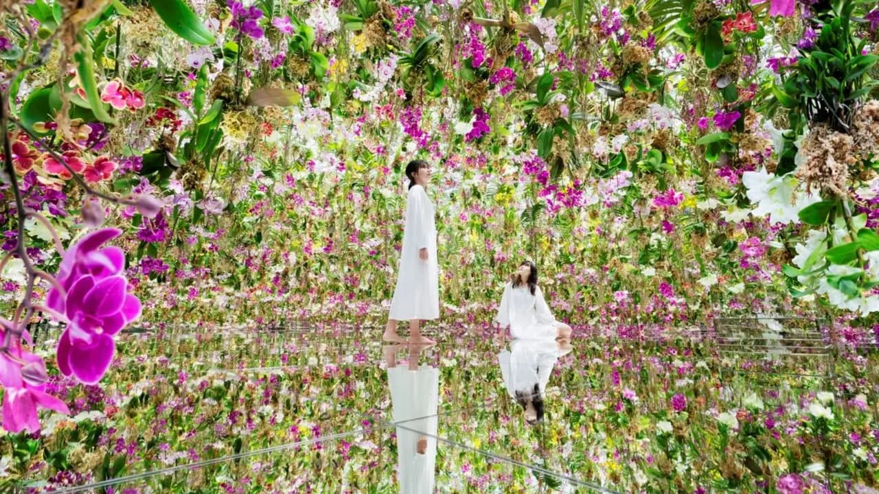 COMBO: Tokyo Skytree + teamLab Planets TOKYO Tickets - Photo 6