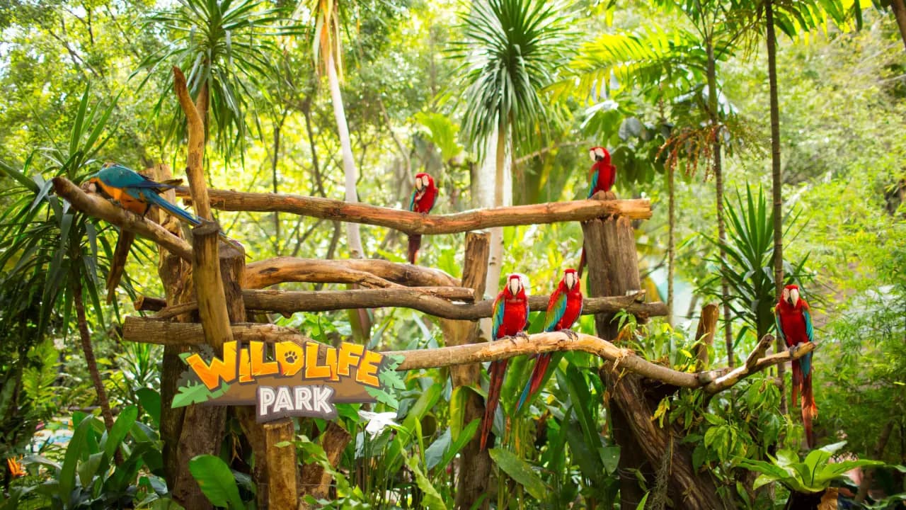 Sunway Lagoon Theme Park Ticket - Photo 70
