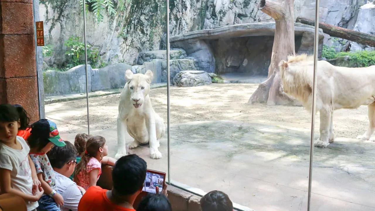 Sunway Lagoon Theme Park Ticket - Photo 14