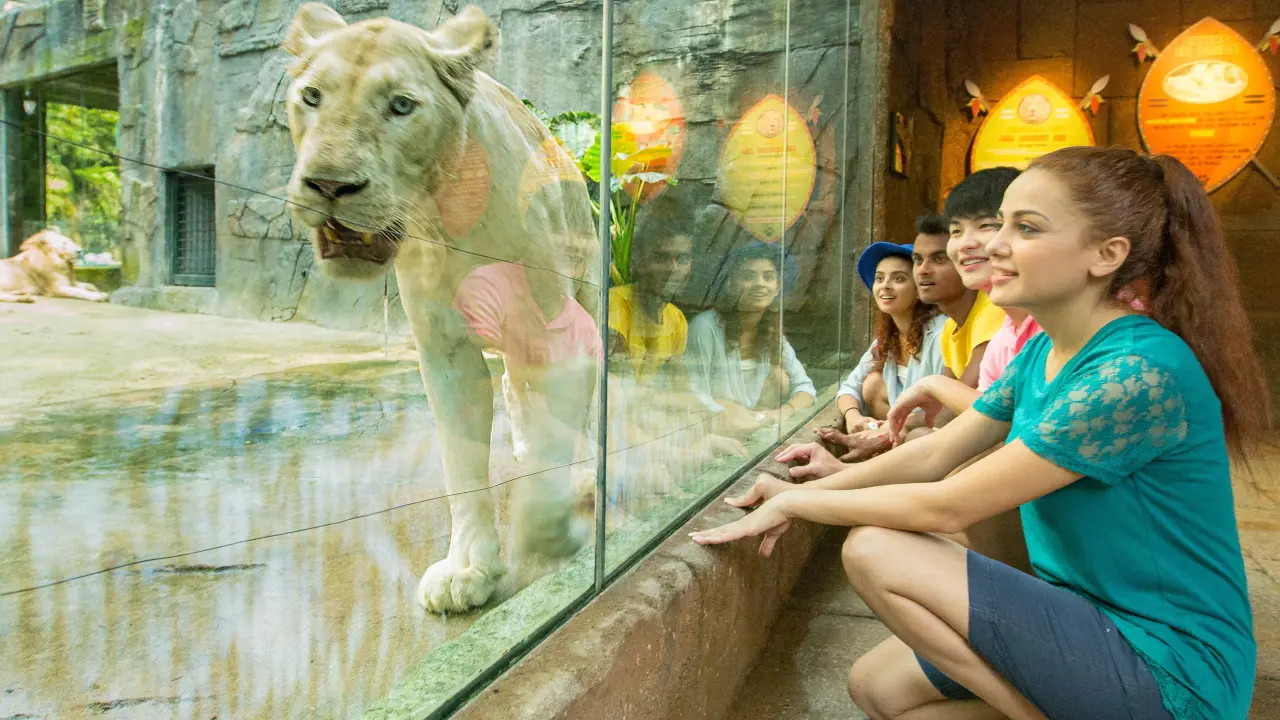 Sunway Lagoon Theme Park Ticket - Photo 15
