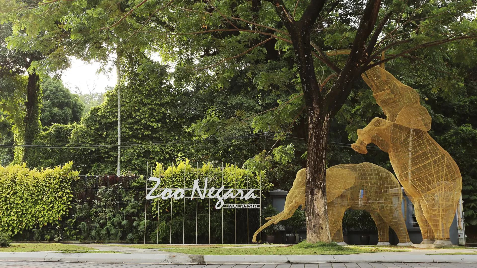 Zoo Negara Malaysia & & Panda Conservation Centre Ticket - Photo 50