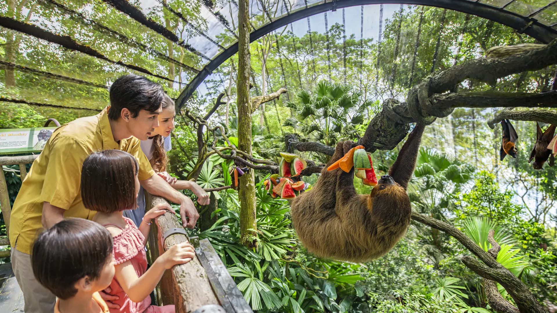 Singapore Zoo Ticket - Photo 19