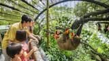 Singapore Zoo Ticket - Photo 17