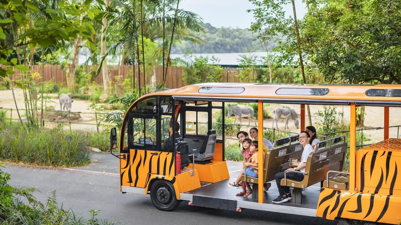 Singapore Zoo Ticket - Photo 2