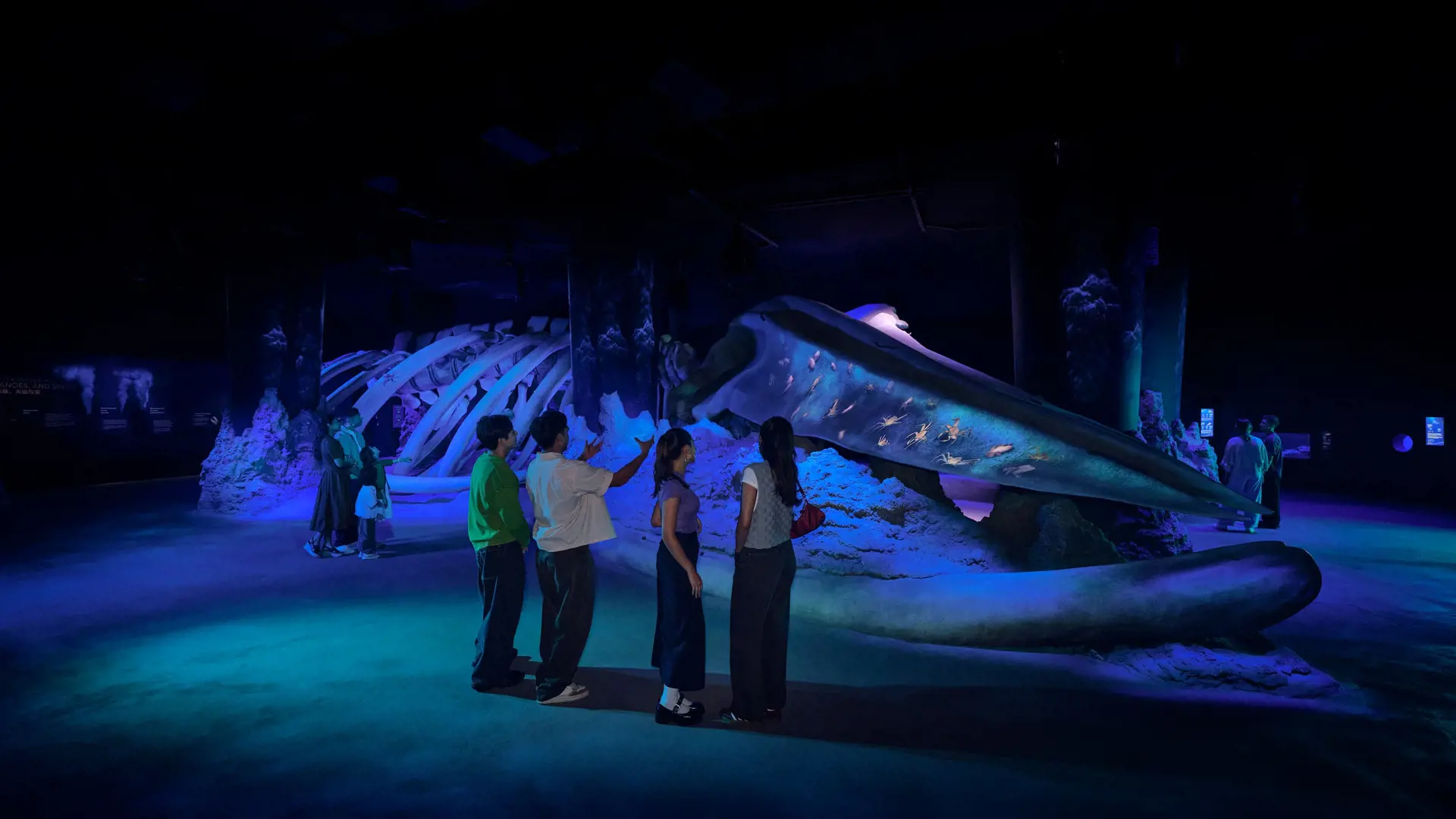 Singapore Oceanarium Ticket - Photo 29