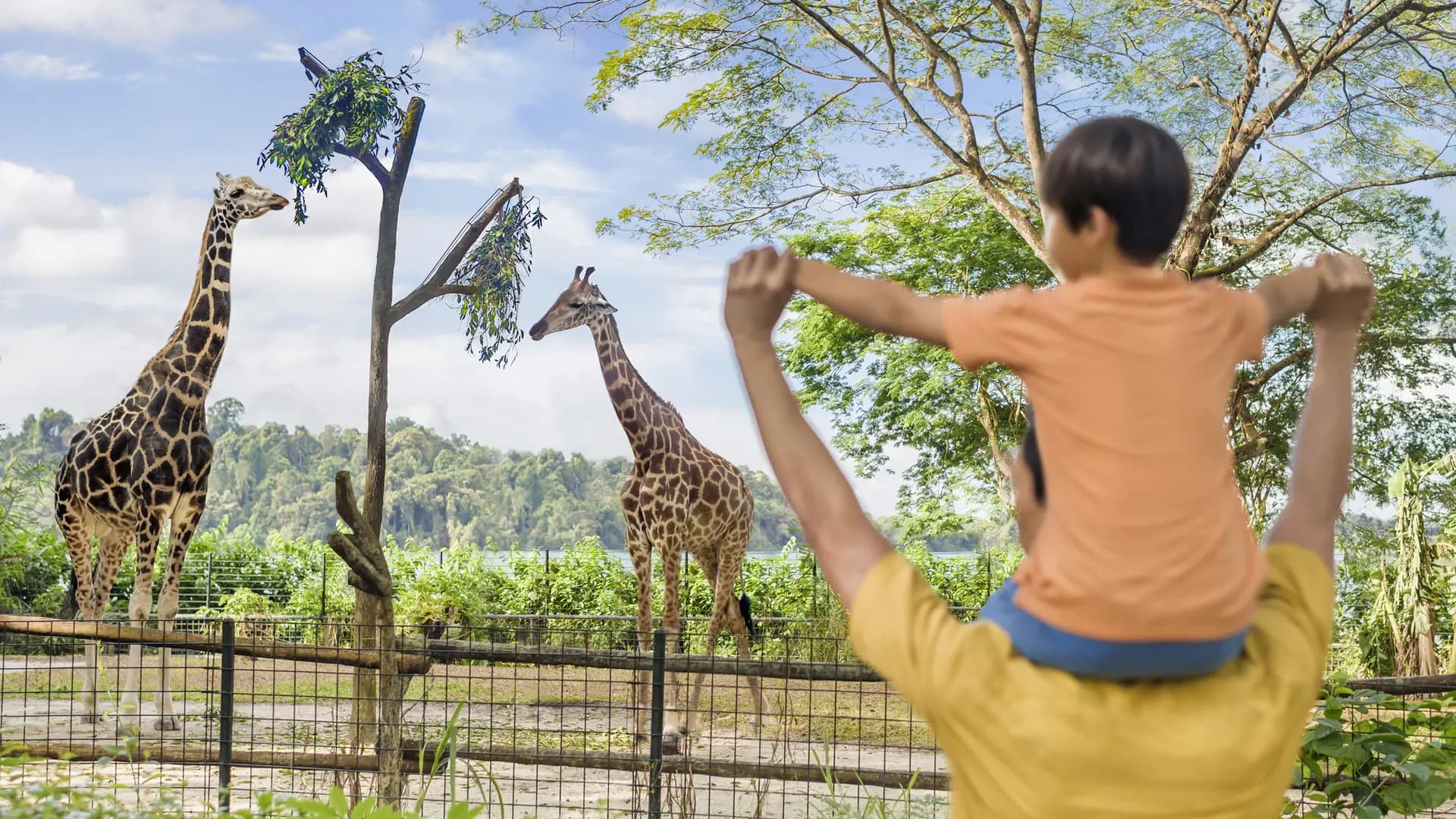 Singapore Zoo Ticket - Photo 21