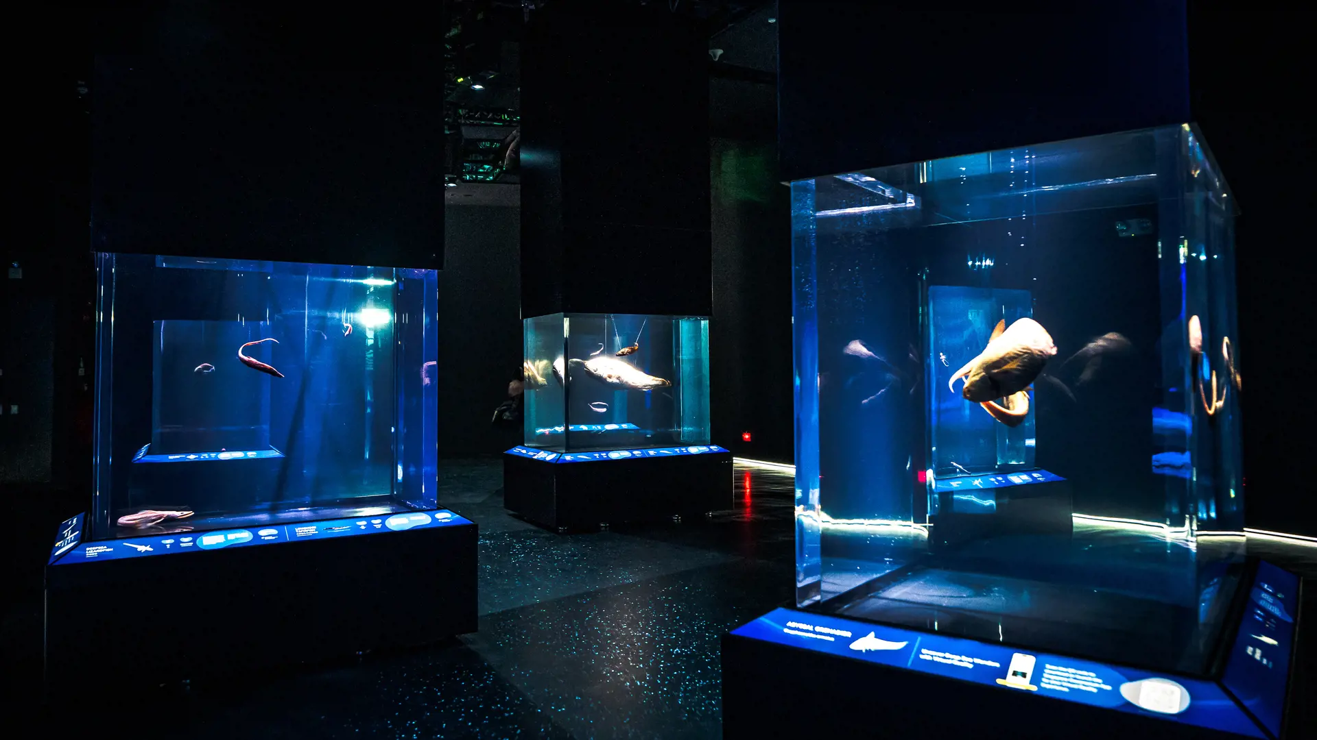 Singapore Oceanarium Ticket - Photo 30