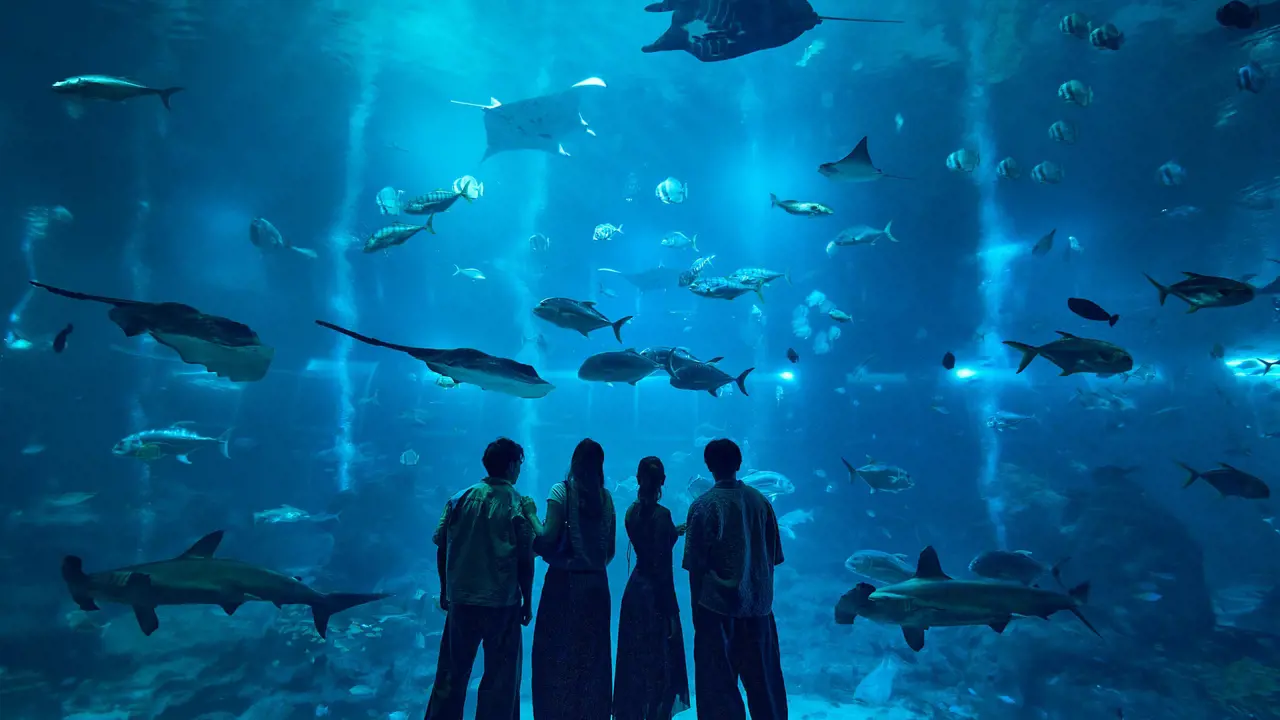 Singapore Oceanarium Ticket - Photo 9