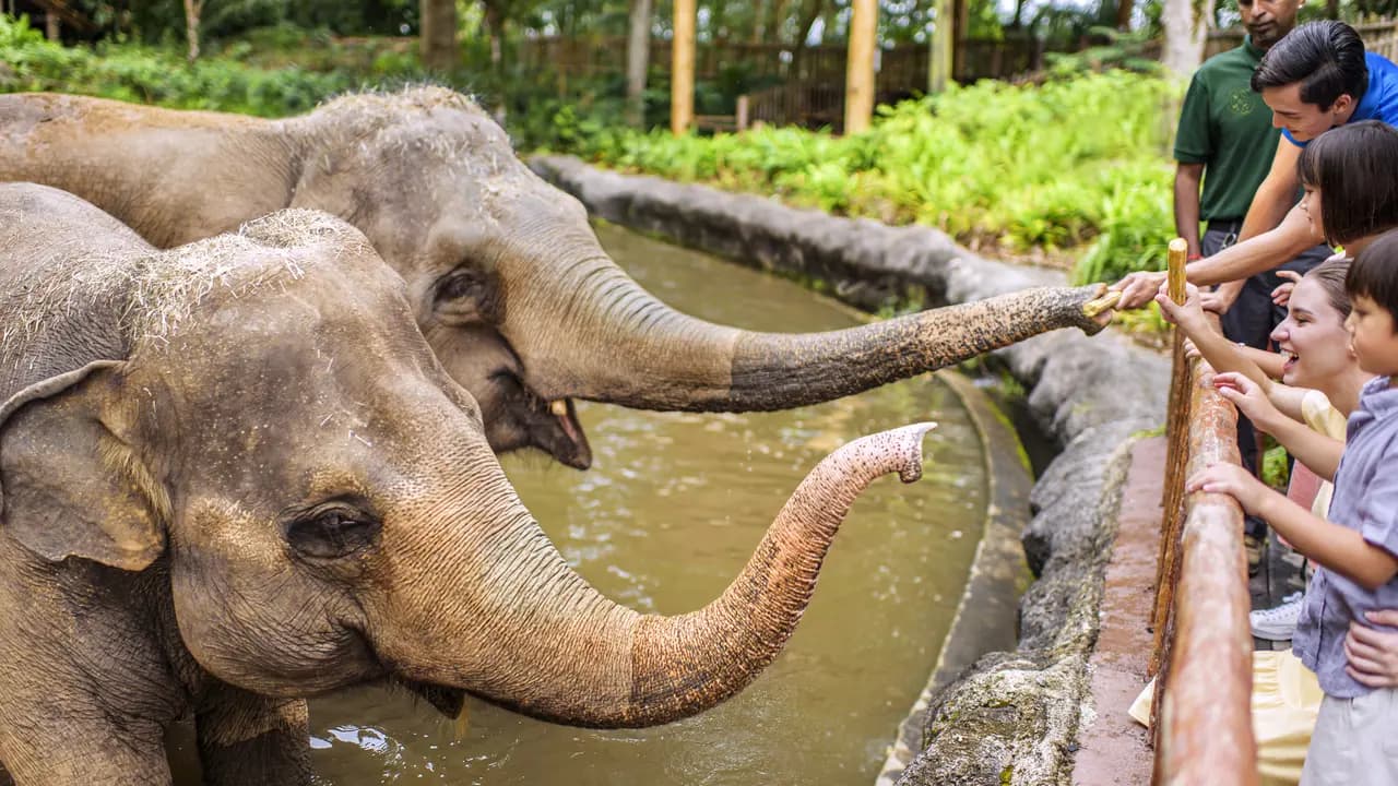 Singapore Zoo Ticket - Photo 5