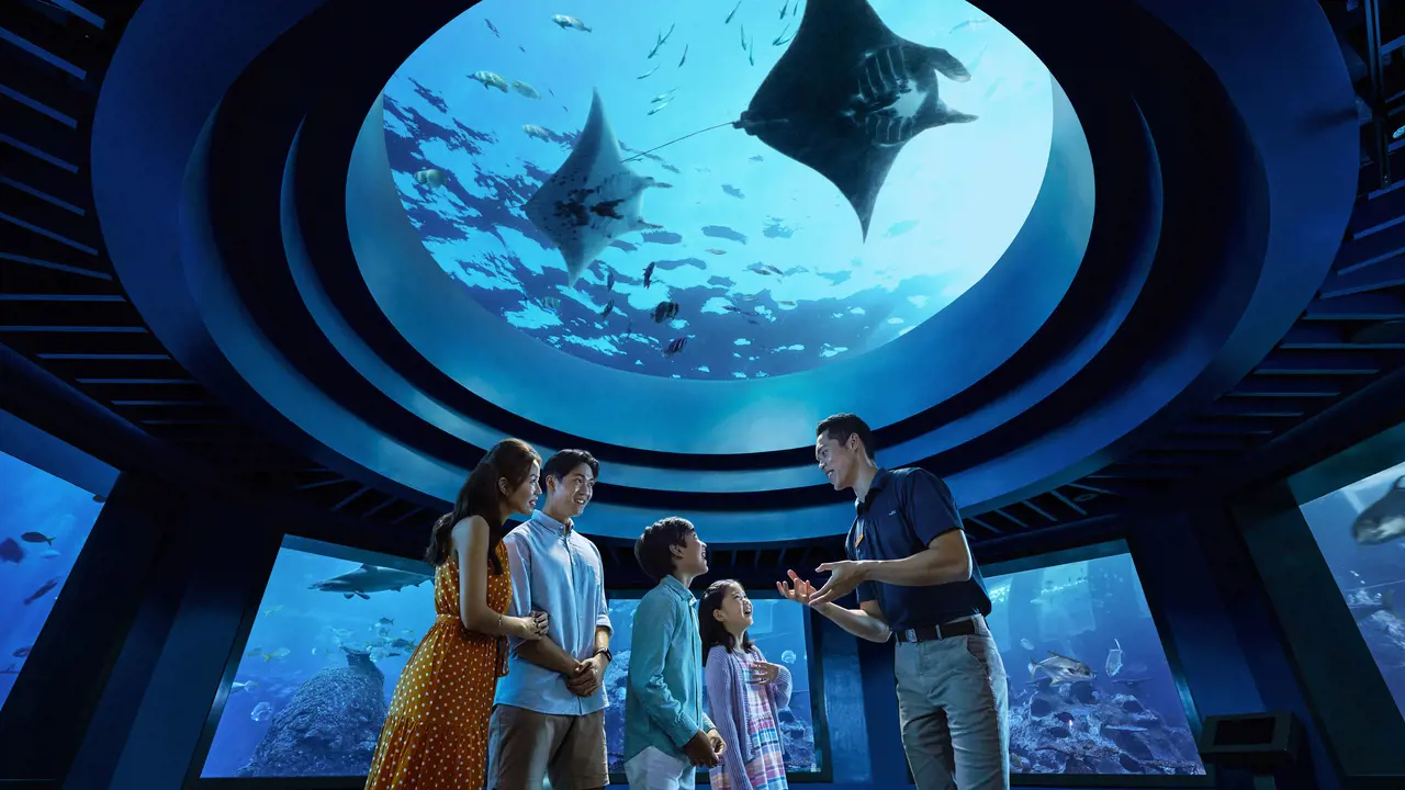 Singapore Oceanarium Ticket - Photo 12