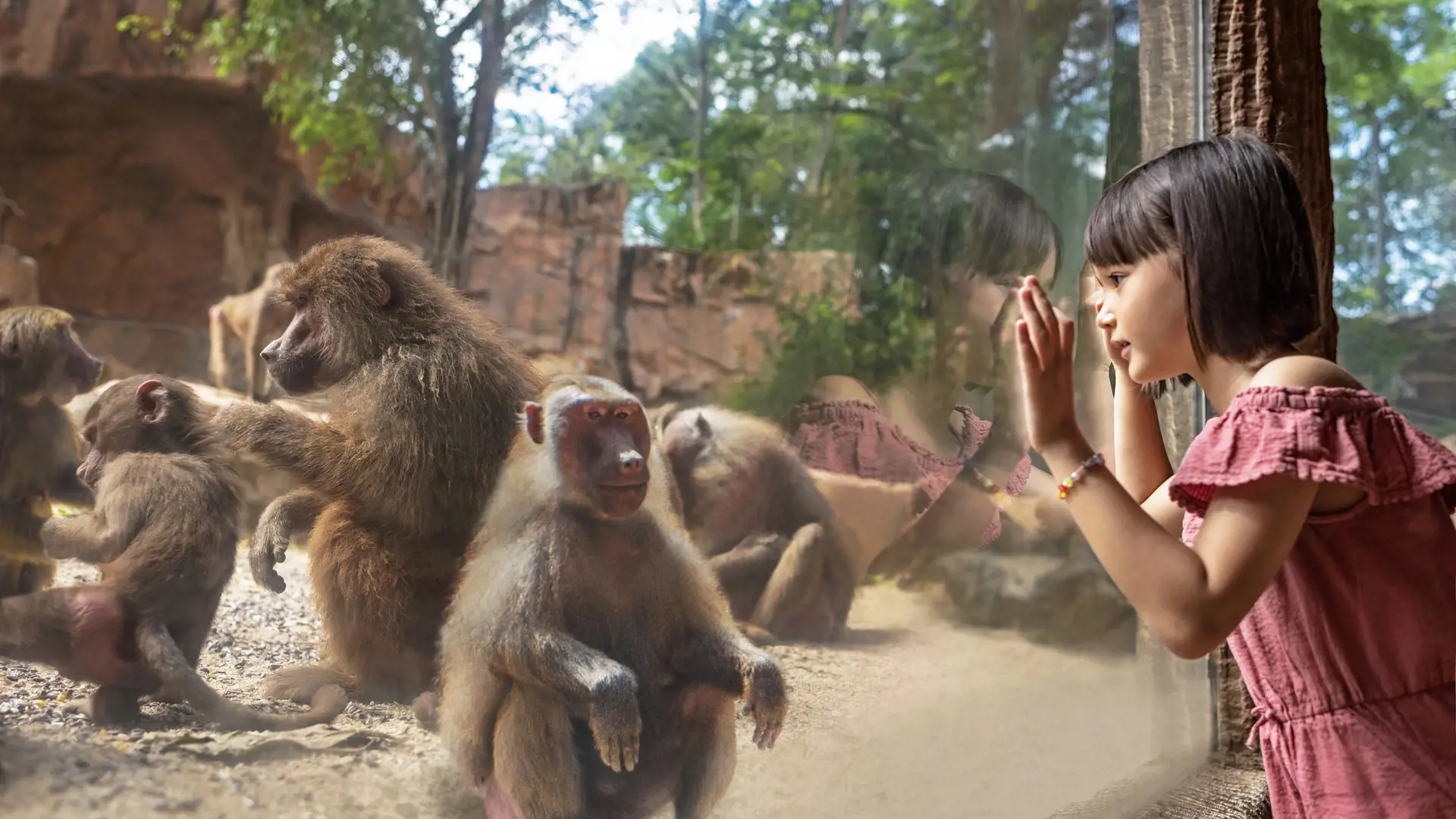 Singapore Zoo Ticket - Photo 26