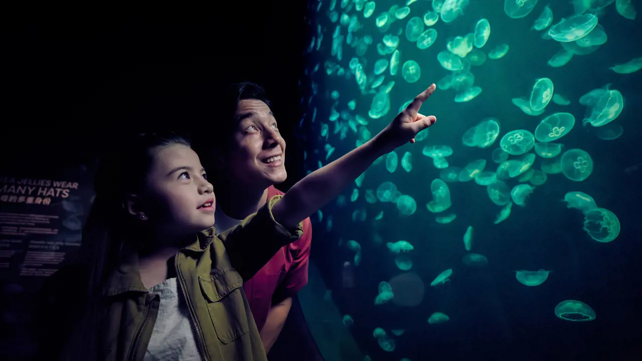 Singapore Oceanarium Ticket - Photo 13