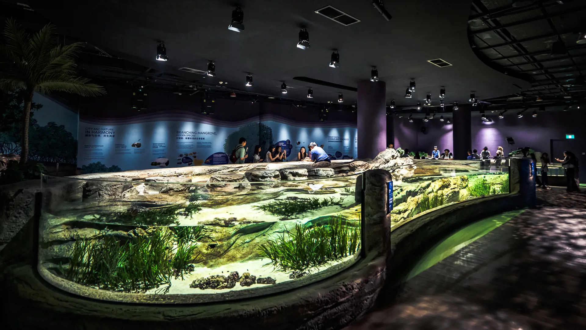 Singapore Oceanarium Ticket - Photo 37