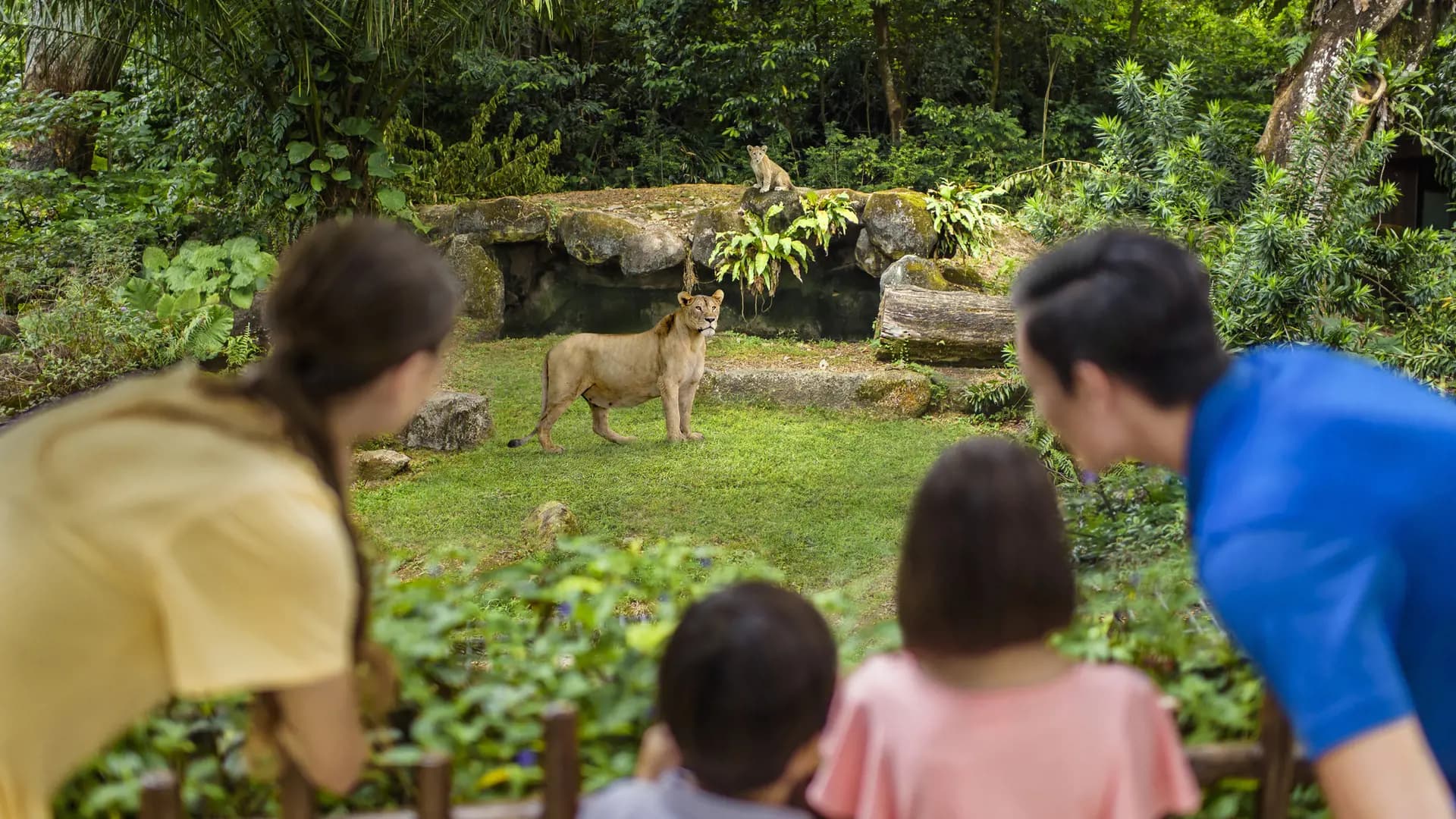 Singapore Zoo Ticket - Photo 30