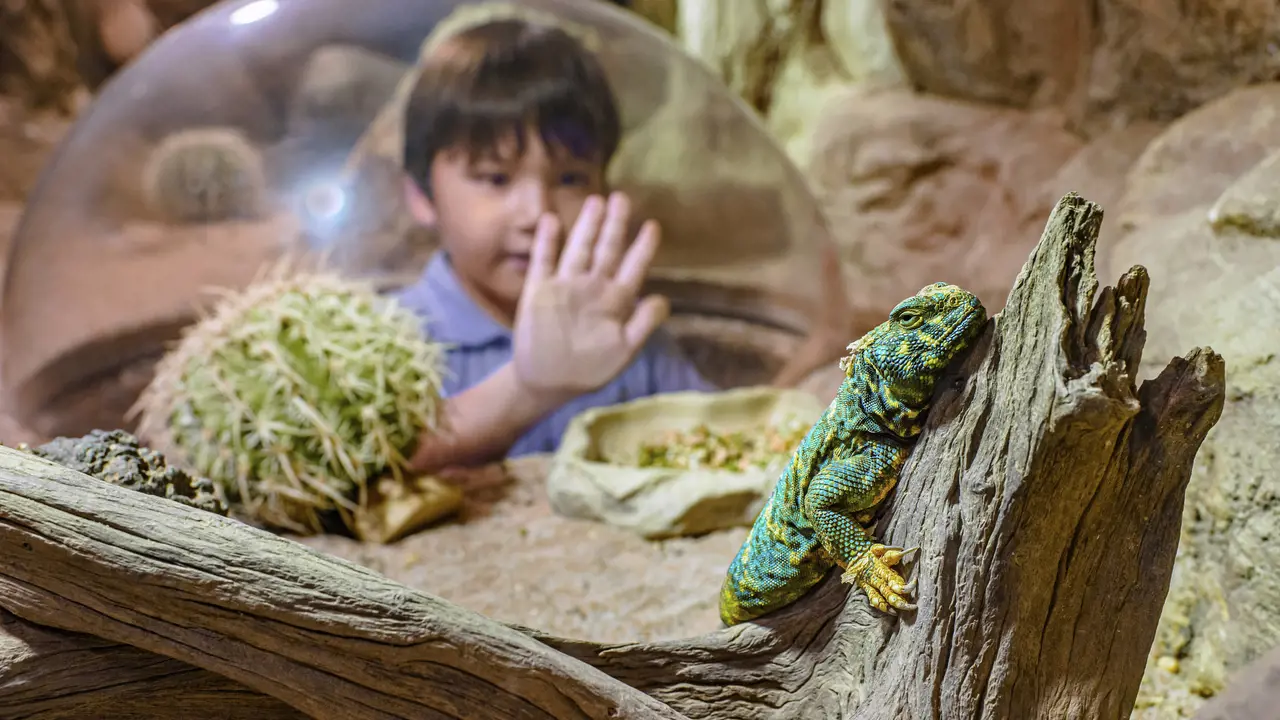 Singapore Zoo Ticket - Photo 13
