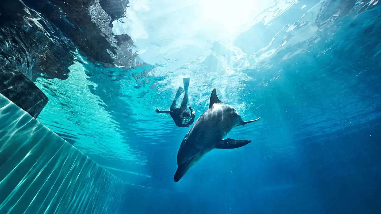 Singapore Oceanarium Ticket - Photo 39