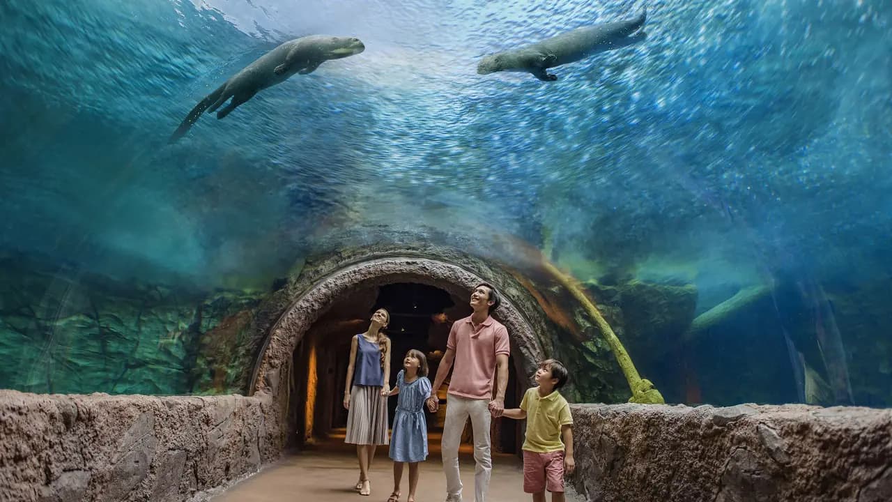 River Wonders Singapore Ticket - Photo 15