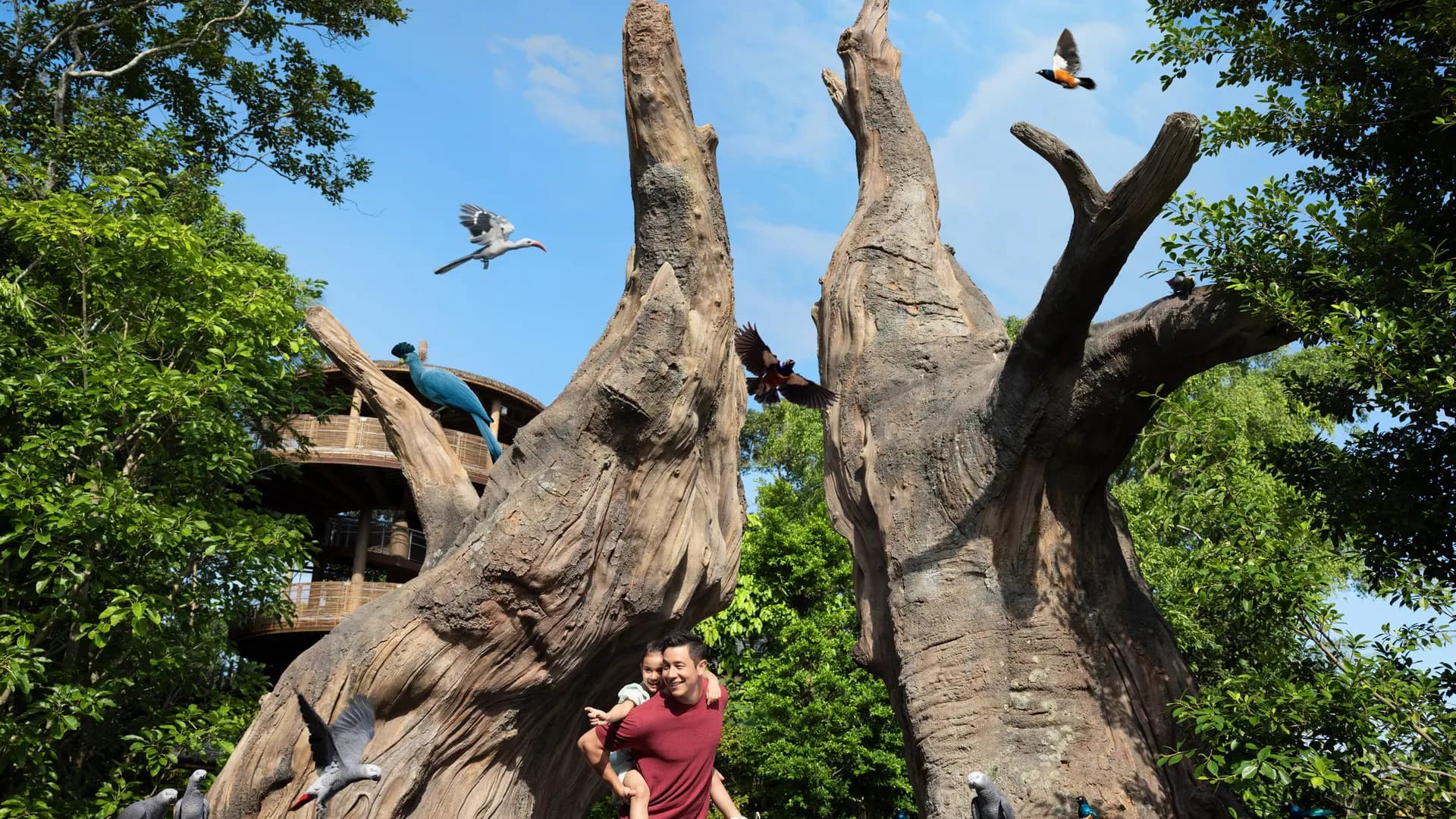 Singapore Bird Paradise Ticket - Photo 23