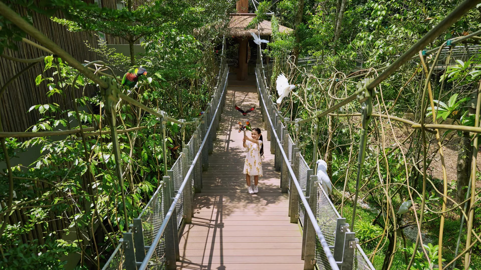 Singapore Bird Paradise Ticket - Photo 24