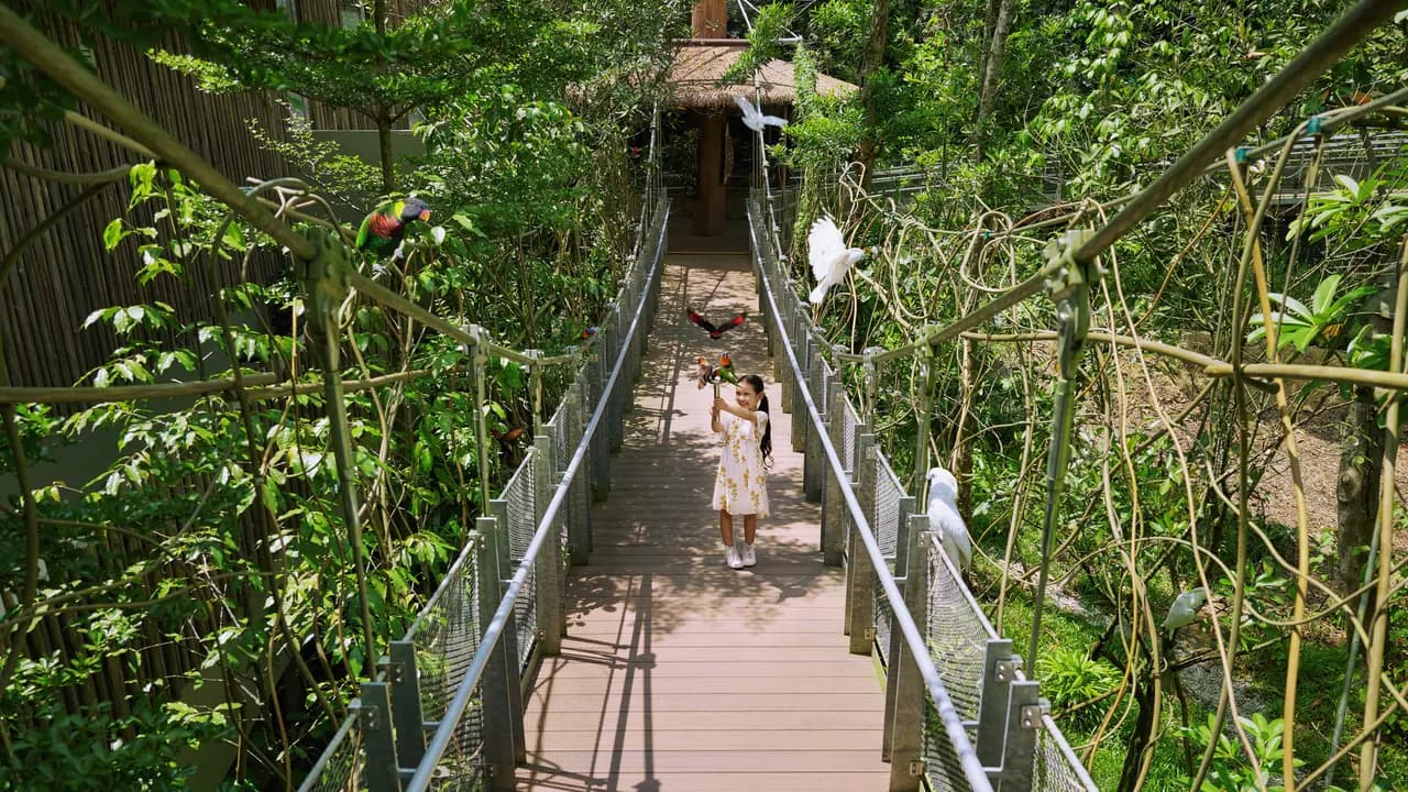 Singapore Bird Paradise Ticket - Photo 7