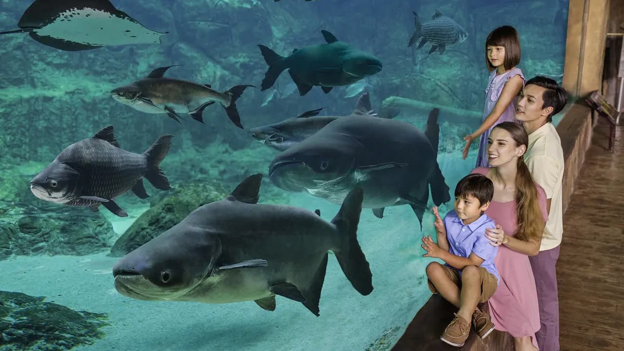 River Wonders Singapore Ticket - Photo 8