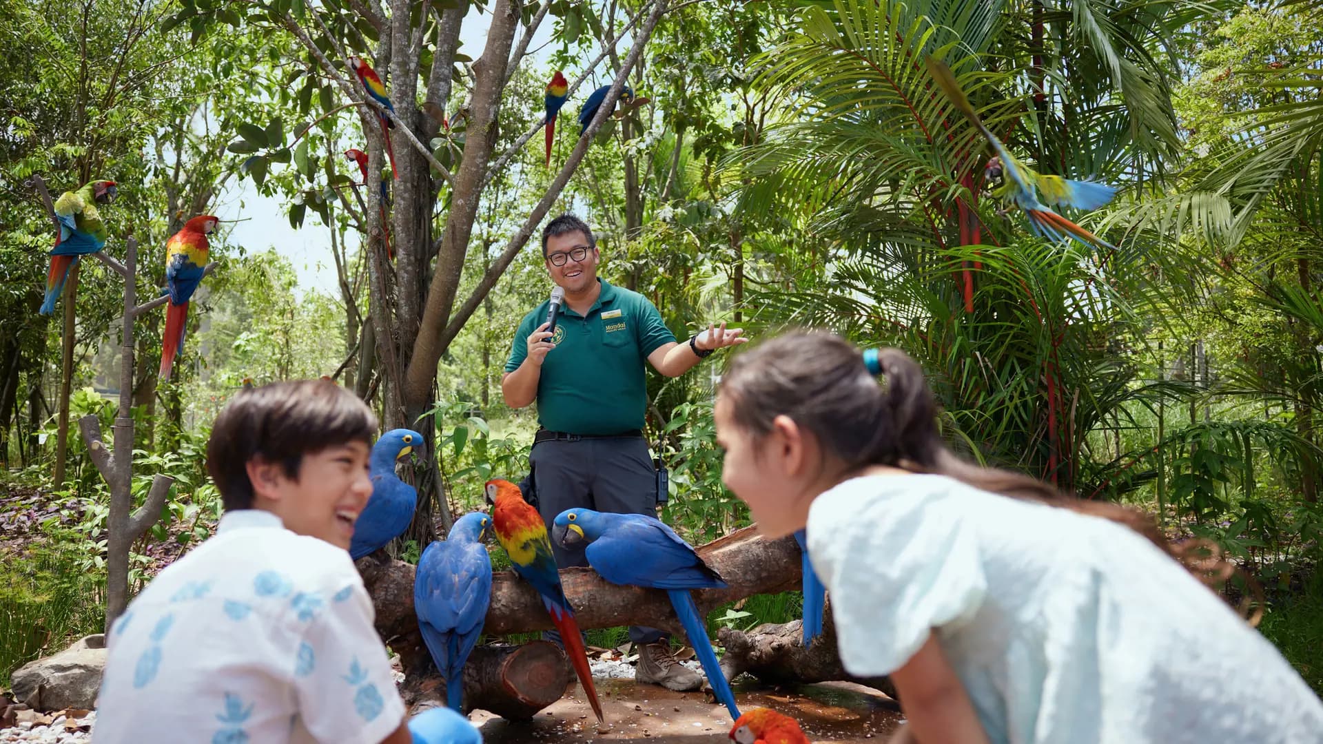 Singapore Bird Paradise Ticket - Photo 25
