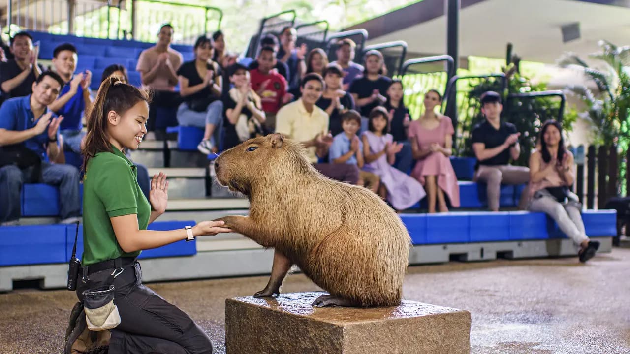 River Wonders Singapore Ticket - Photo 22