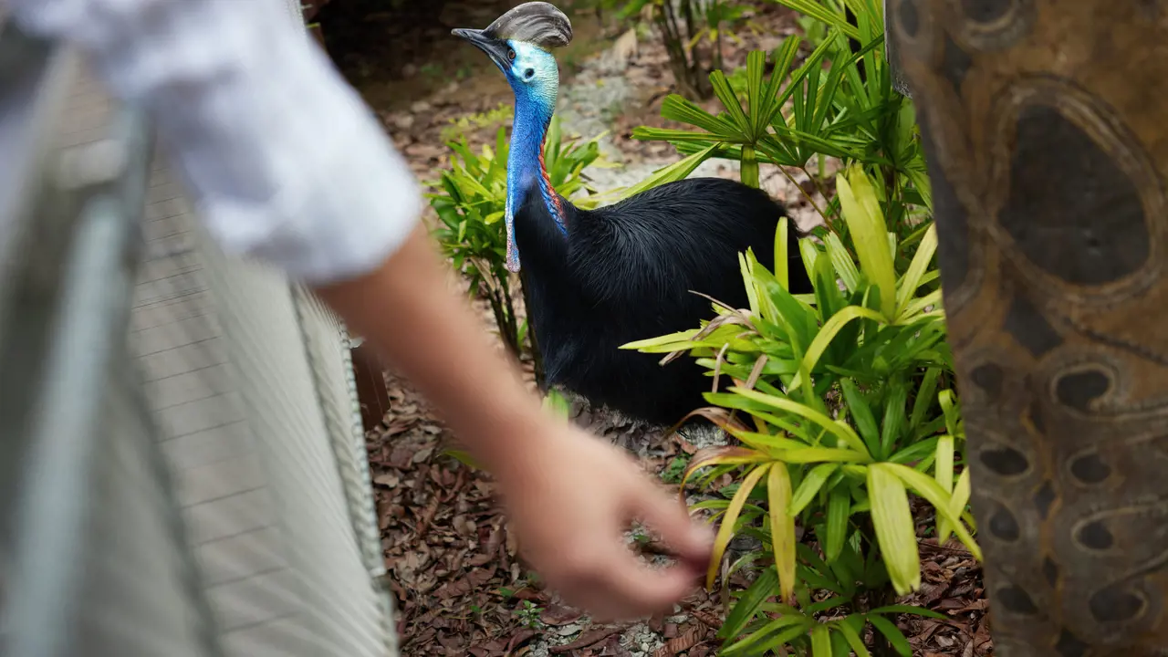 Singapore Bird Paradise Ticket - Photo 10