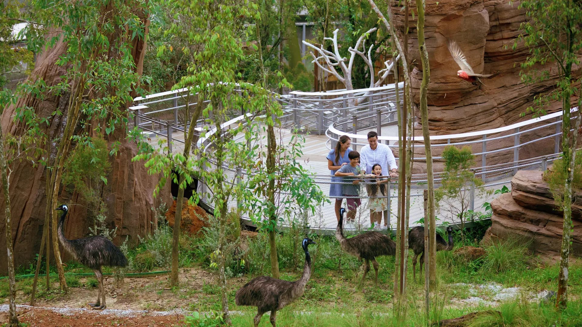 Singapore Bird Paradise Ticket - Photo 29