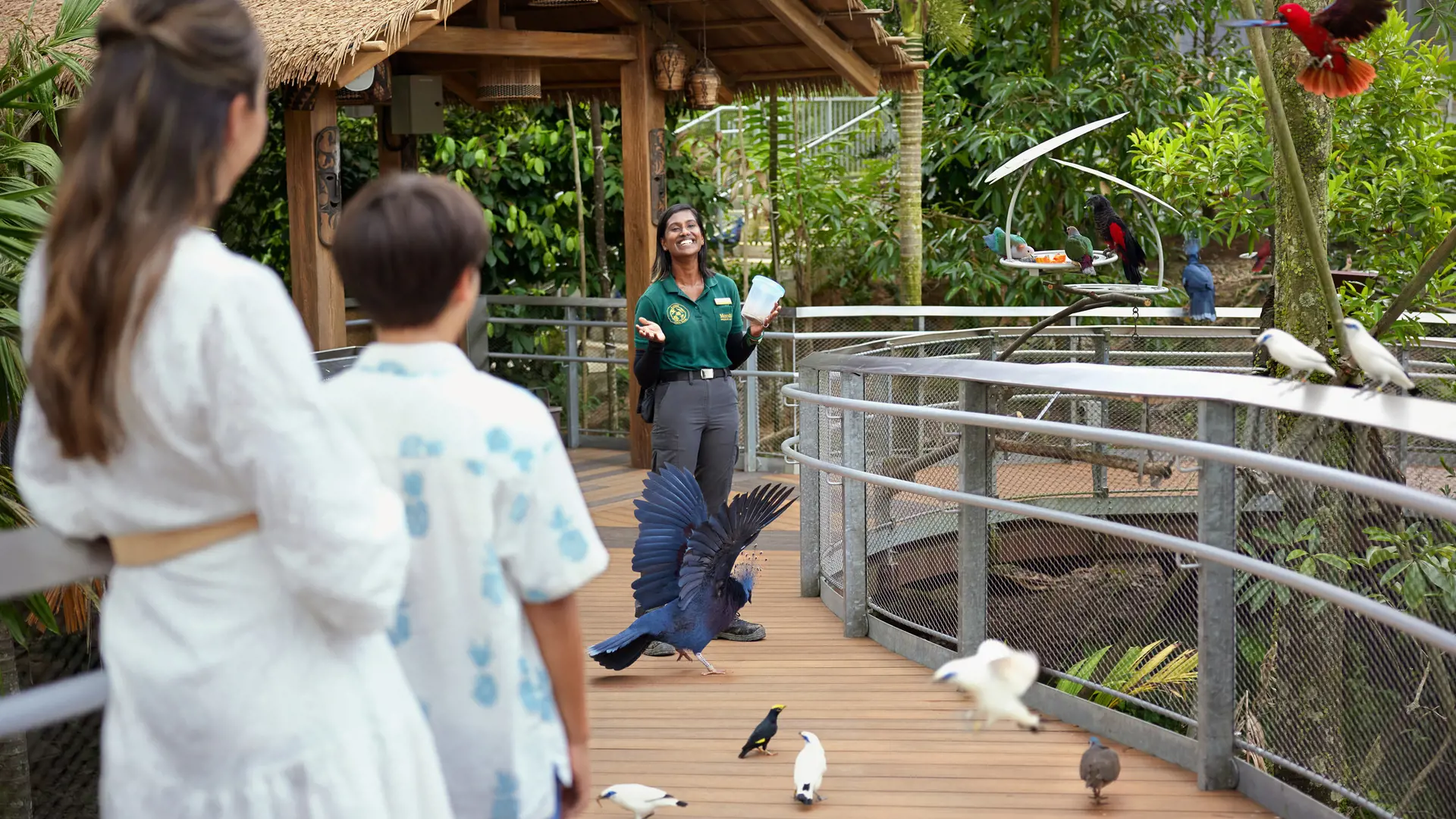 Singapore Bird Paradise Ticket - Photo 30