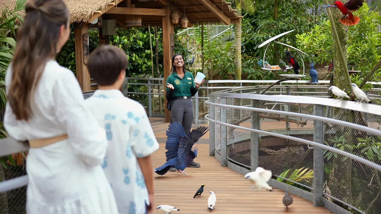 Singapore Bird Paradise Ticket - Photo 13