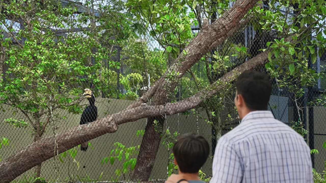 Singapore Bird Paradise Ticket - Photo 14