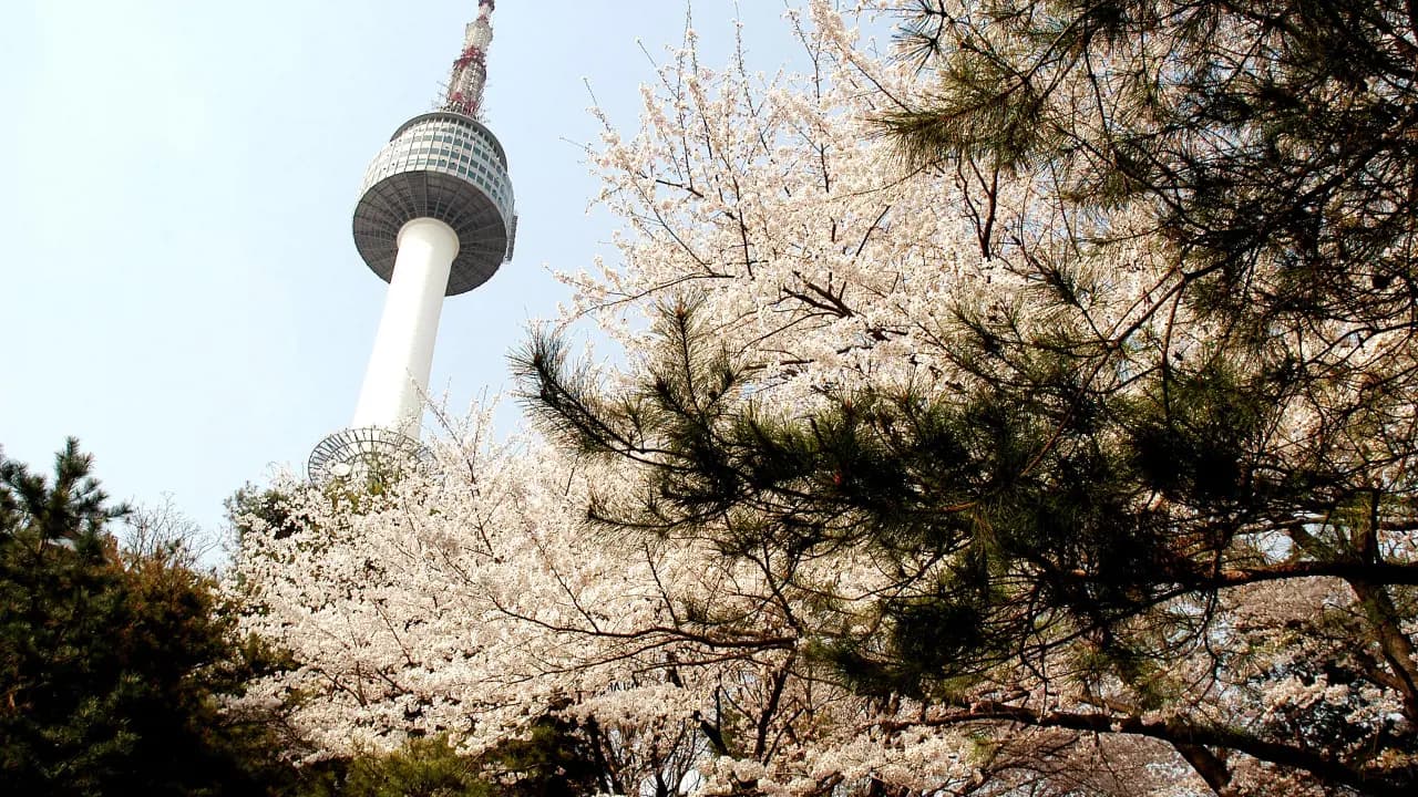 COMBO: AREX Incheon Airport Express Train + N Seoul Tower Observatory - Photo 24