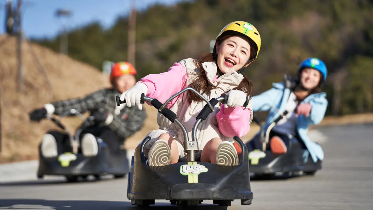 Skyline Luge Busan Ticket - Photo 3