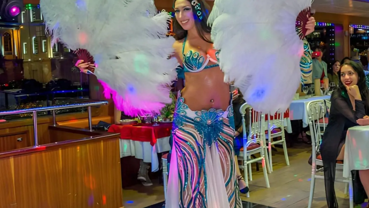 Bosphorus Dinner Cruise with Turkish Night Show - Photo 24