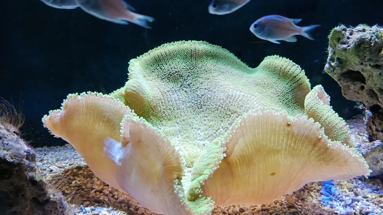 Underwater World Langkawi Ticket - Photo 4