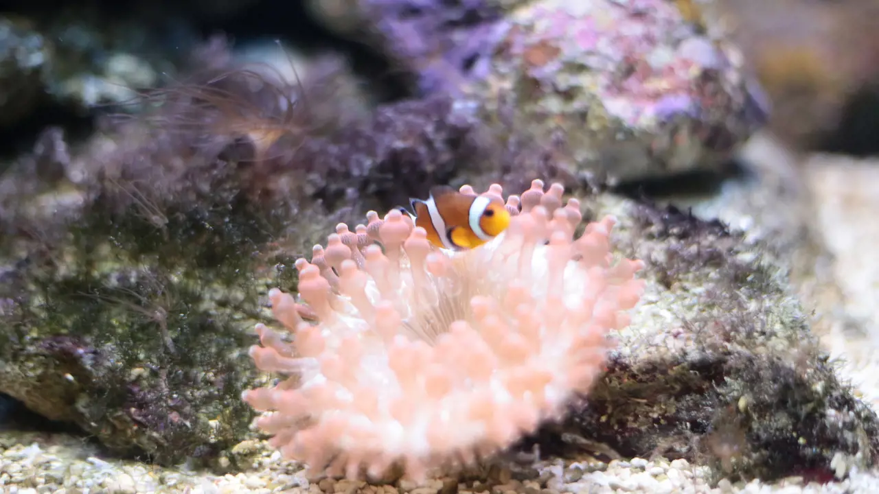 Underwater World Langkawi Ticket - Photo 5