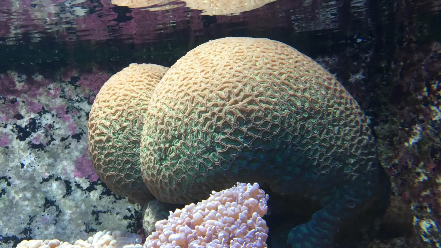 Underwater World Langkawi Ticket - Photo 28