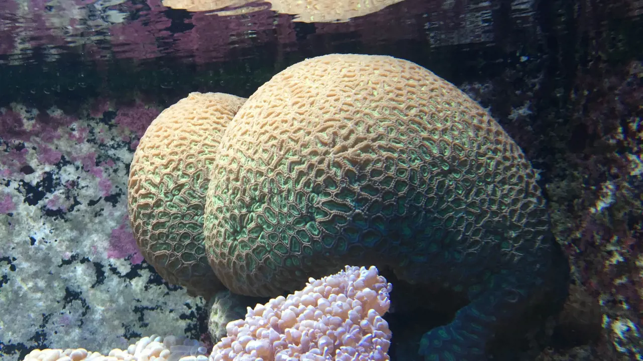 Underwater World Langkawi Ticket - Photo 7