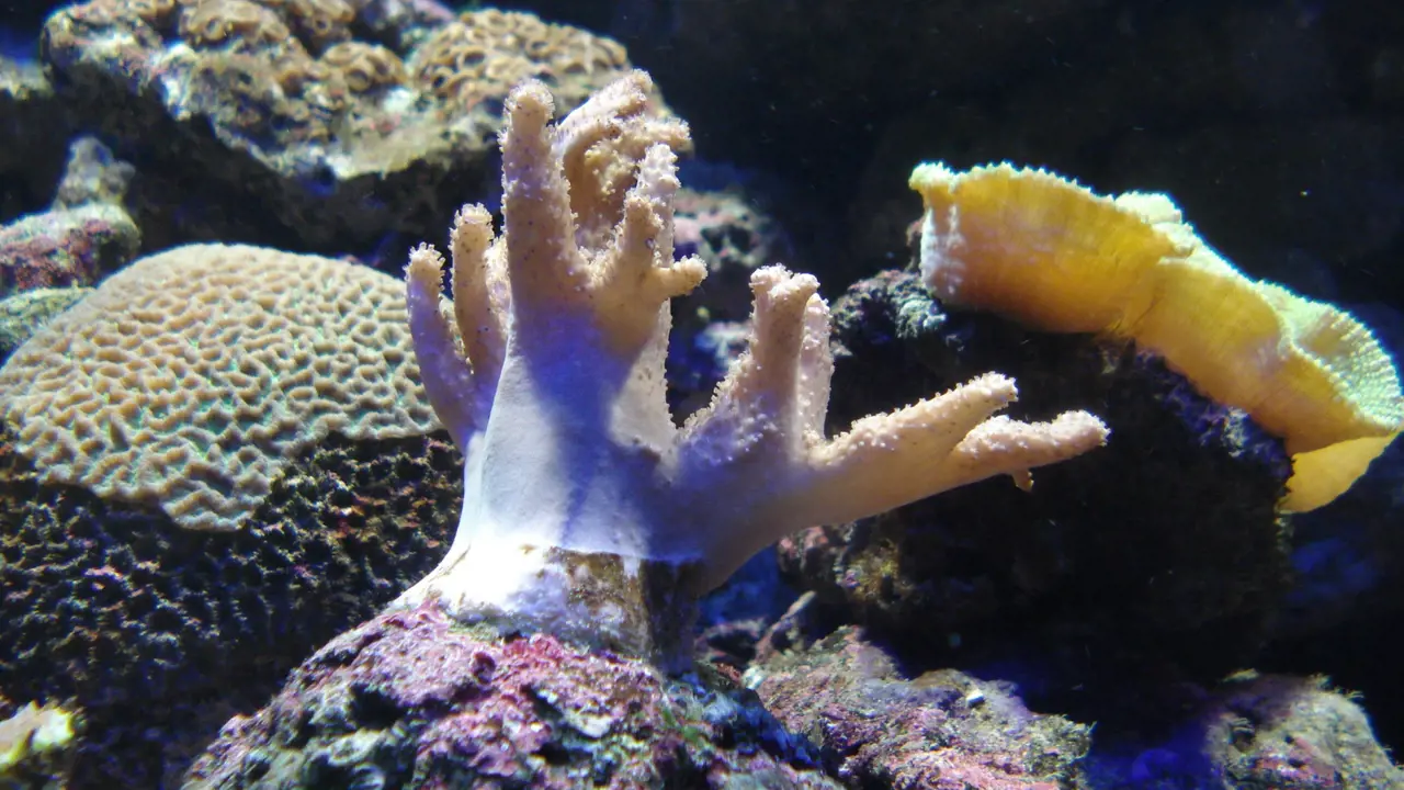Underwater World Langkawi Ticket - Photo 8