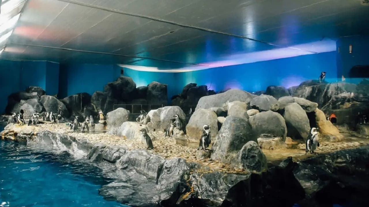 Underwater World Langkawi Ticket - Photo 11
