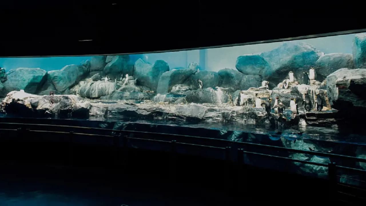 Underwater World Langkawi Ticket - Photo 40