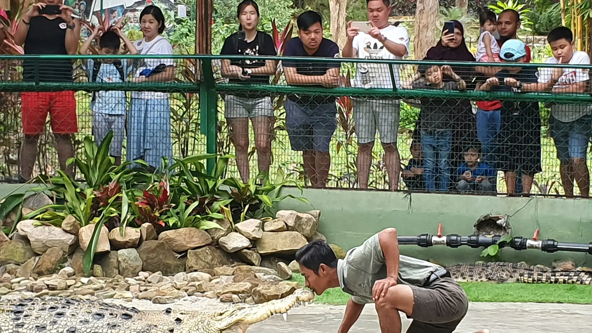 Crocodile Adventureland Langkawi - Photo 21