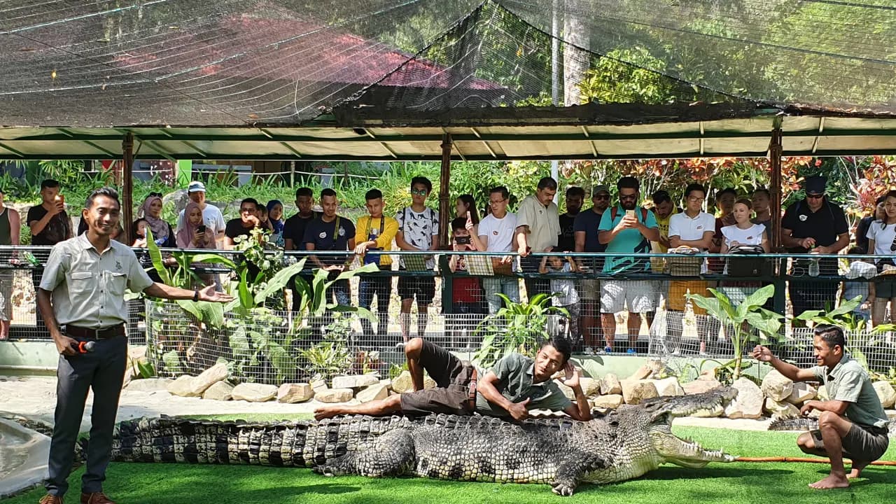 Crocodile Adventureland Langkawi - Photo 8