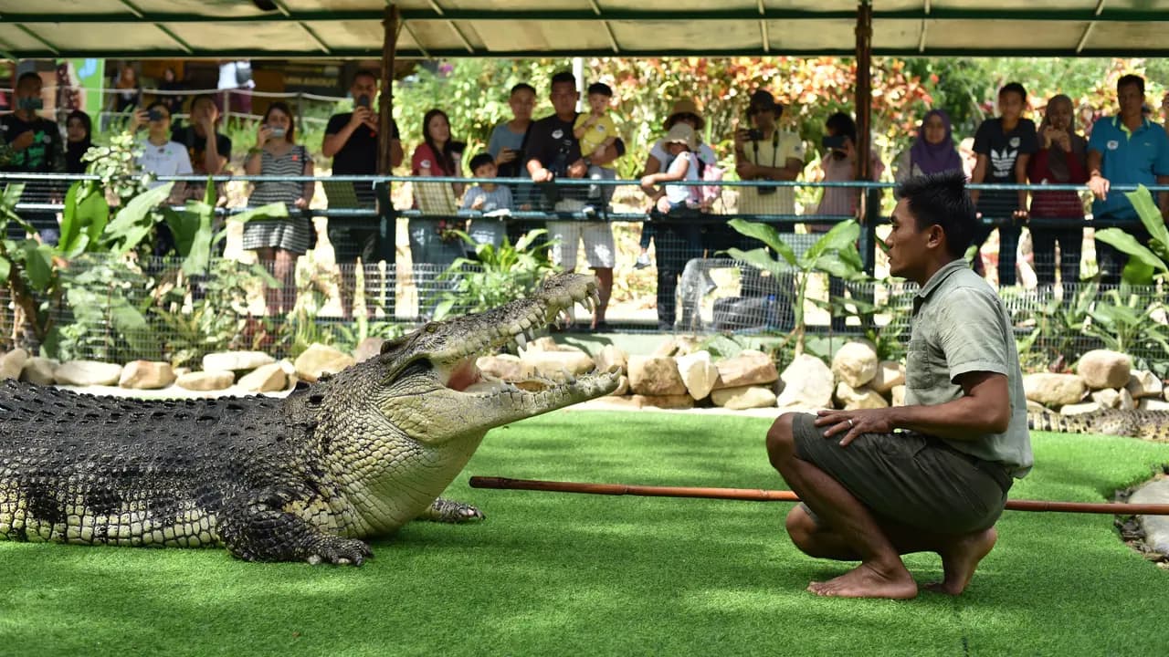 Crocodile Adventureland Langkawi - Photo 10