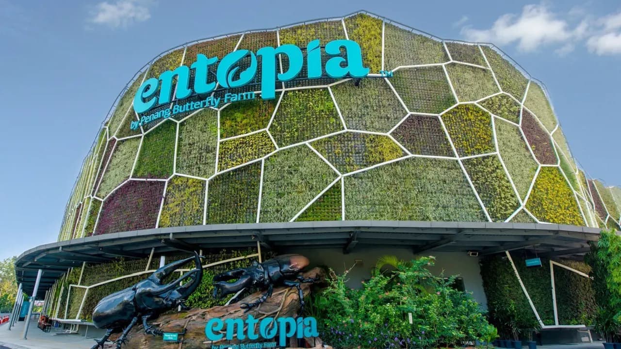 Entopia by Penang Butterfly Farm Ticket - Photo 27