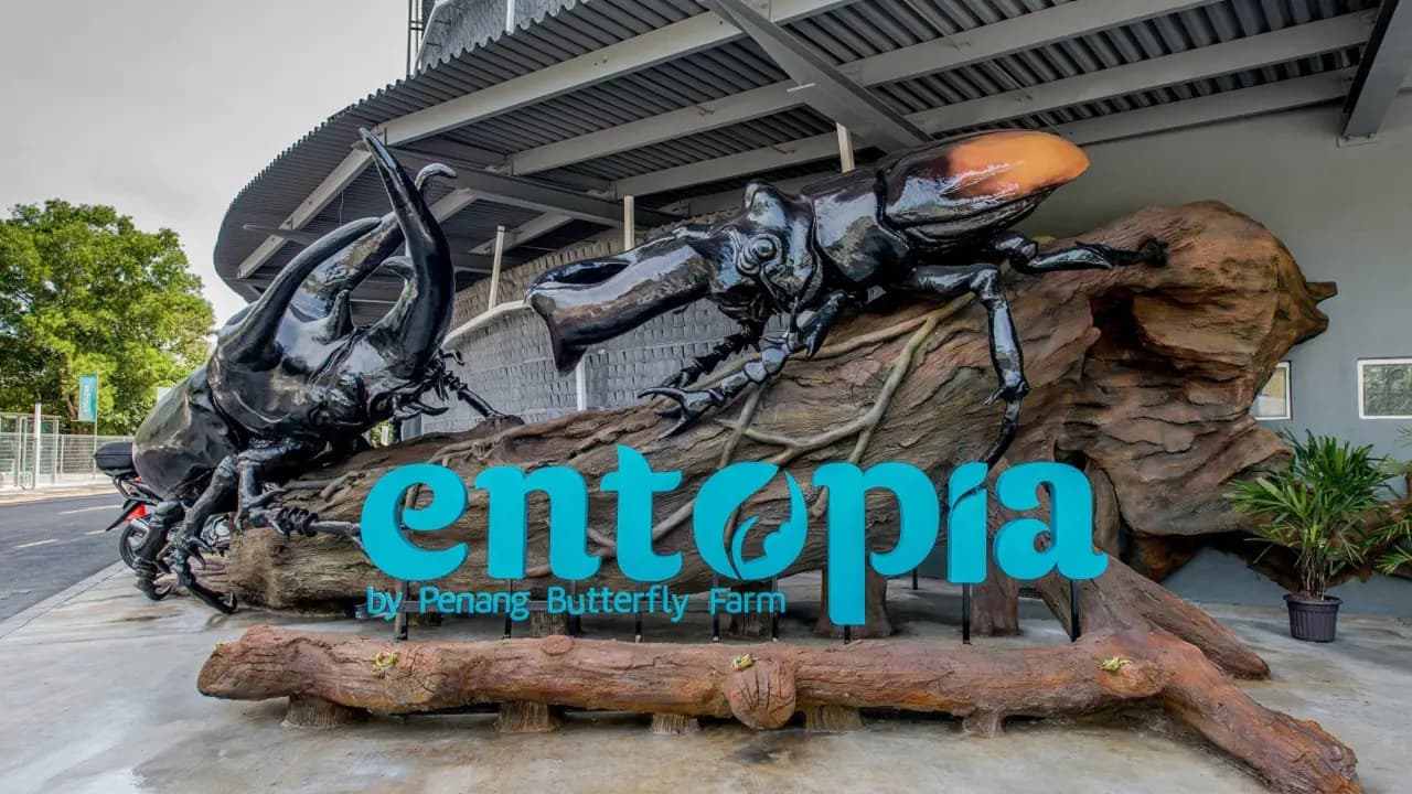 Entopia by Penang Butterfly Farm Ticket - Photo 44