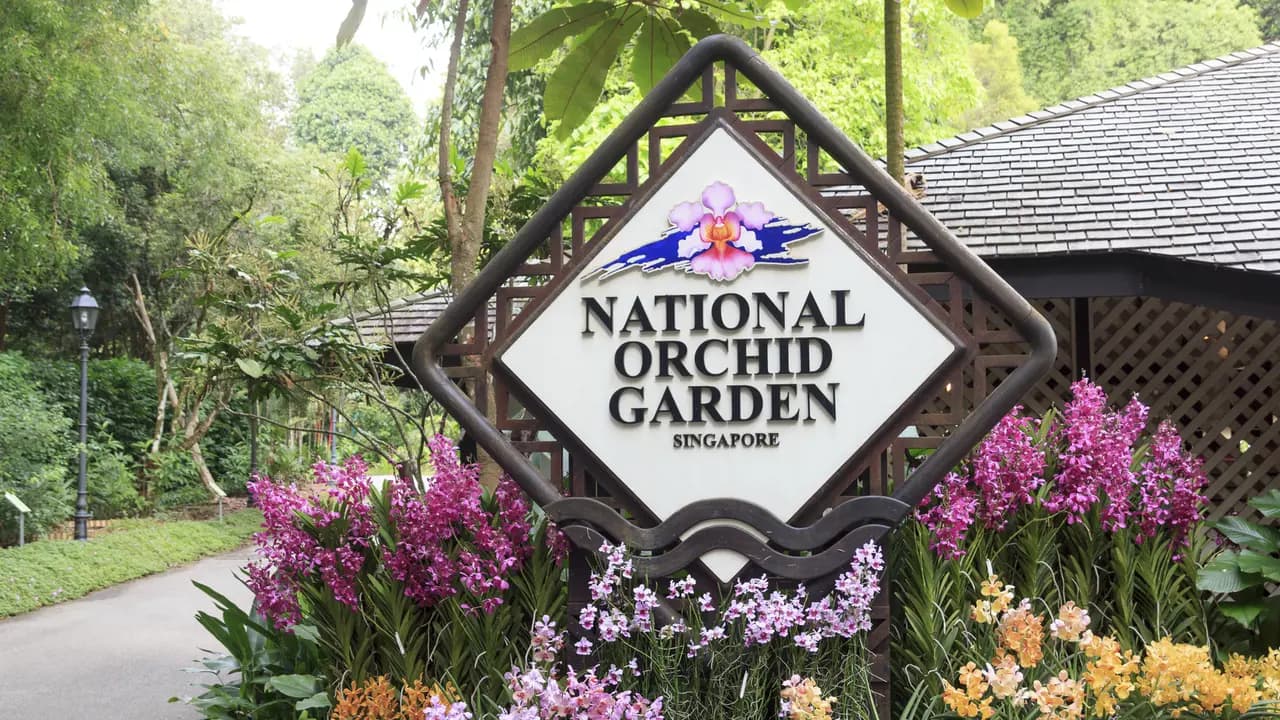 National Orchid Garden Ticket