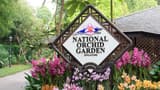 National Orchid Garden Ticket - Photo 16